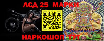 прущие грибы Абакан
