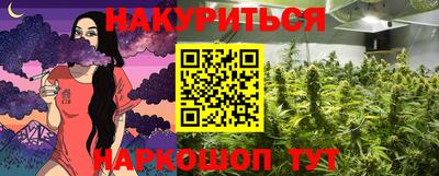 прущие грибы Абакан
