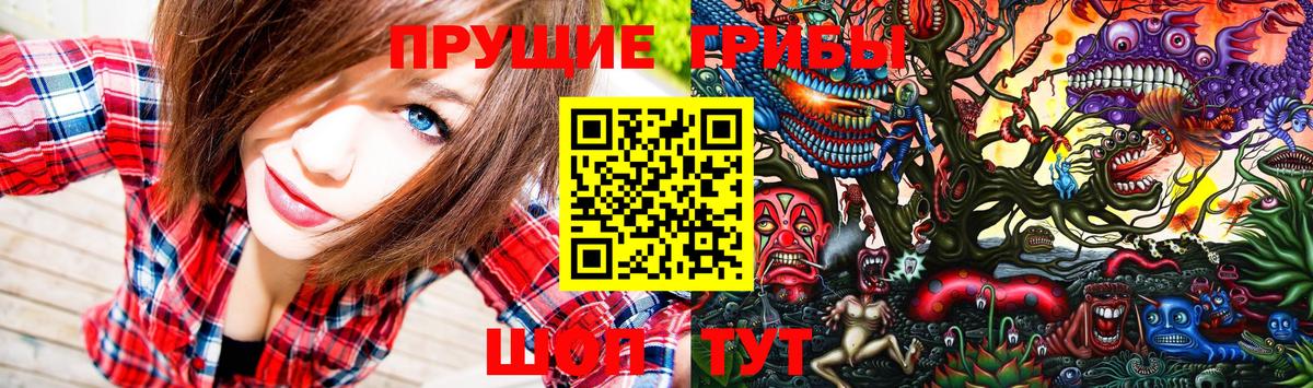 Ангарск  Псилоцибиновые грибы Psilocybine cubensis  Вход с VPN  Галлюциногенные грибы Psilocybine cubensis 